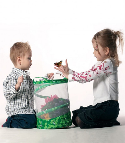 Live Butterfly Garden