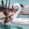 Giant Inflatable Swan