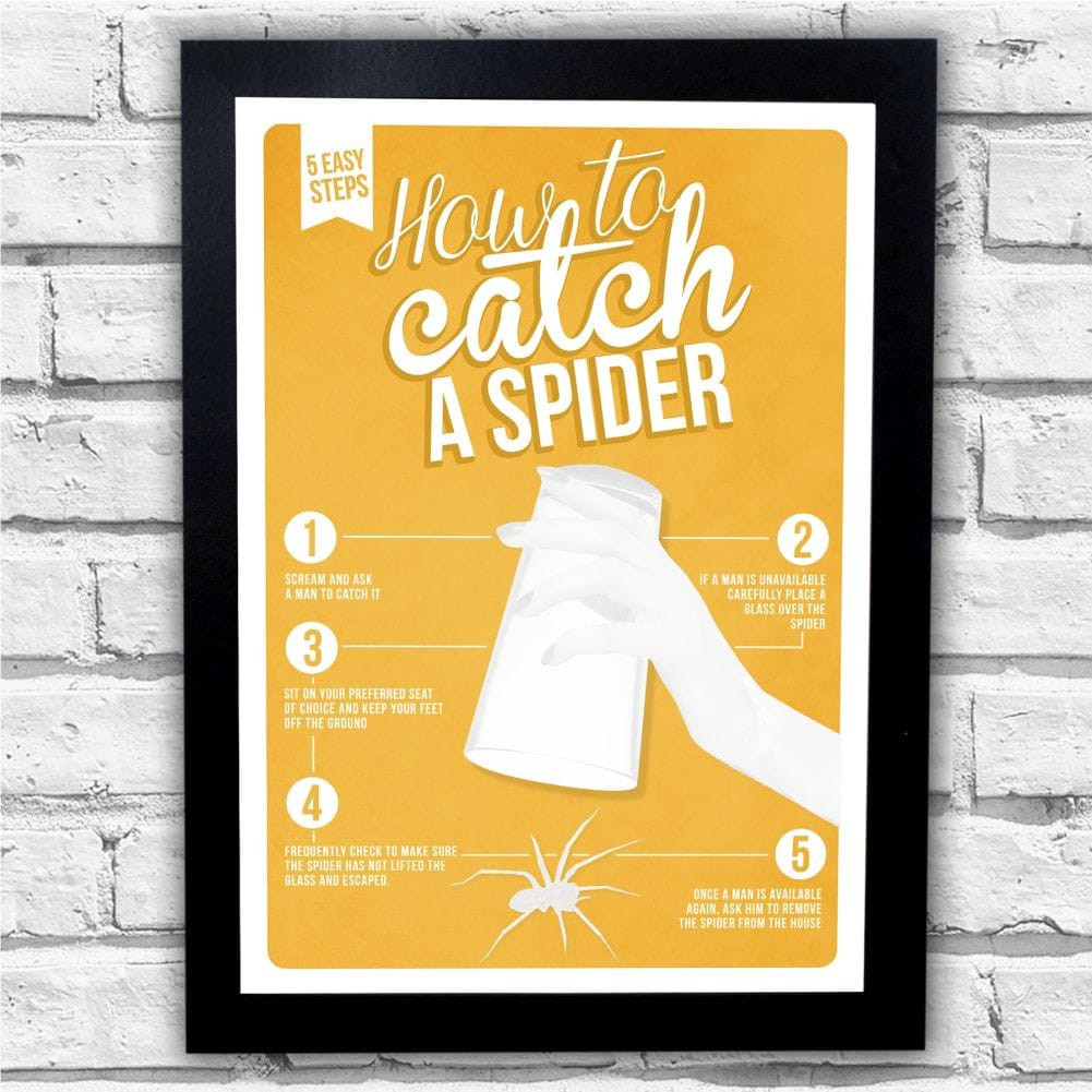 How To Catch A Spider Poster